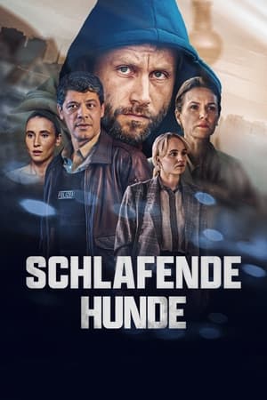 Schlafende Hunde: Season 1