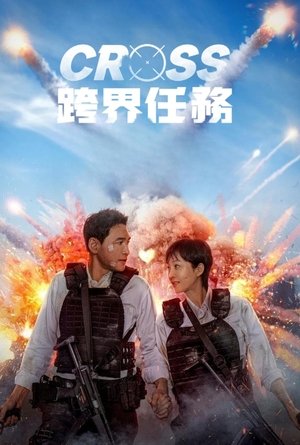 Image 跨界任务