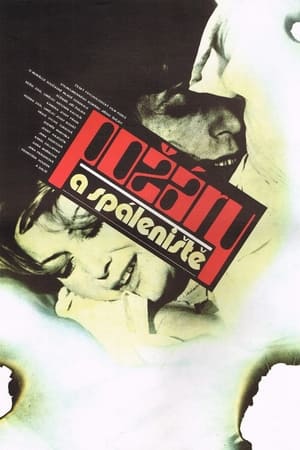 Poster Požáry a spáleniště (1981)