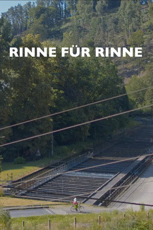 Rinne für Rinne