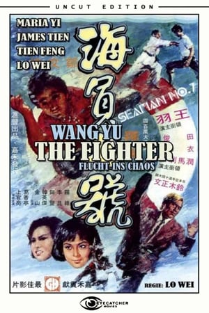 Poster The Fighter - Flucht ins Chaos 1973