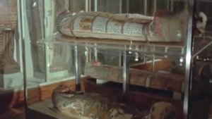 Tutankhamun's Egypt Death and Burial