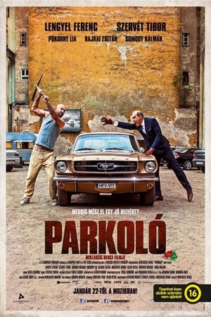 Poster Car Park (2015)