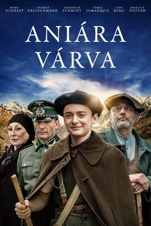 Image Aniára várva