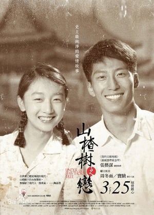 Poster 山楂树之恋 2010