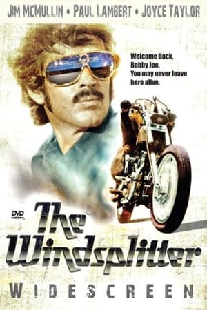 Poster The Windsplitter 1971
