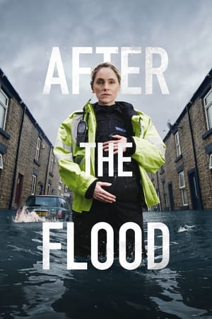 Poster After the Flood 2024