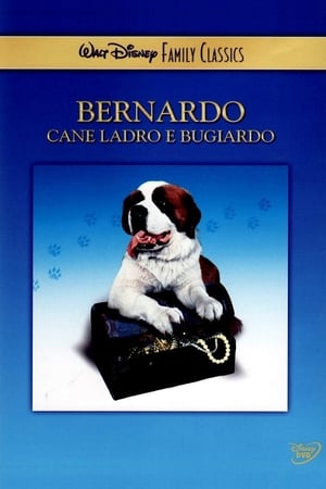Image Bernardo, cane ladro e bugiardo