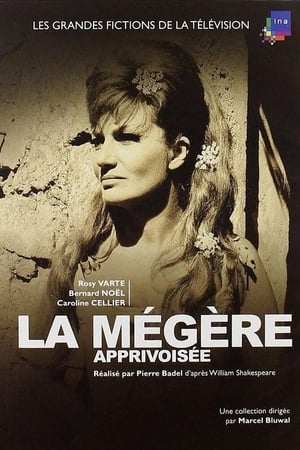Poster La Mégère apprivoisée (1964)