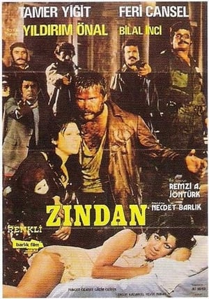 Zindan poster