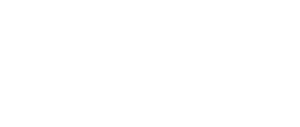 Ảnh 84
