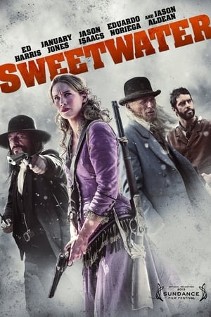 Sweetwater (2013) is one of the best movies like Terror On The Prairie (2022)