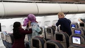 Fight or Flight (2025)