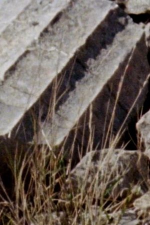 At Ancient Theisoa