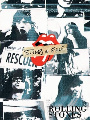Poster Stones en el exilio 2010