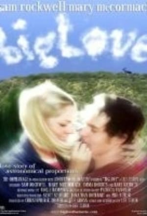 Poster BigLove 2001