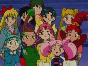 Sailor Moon Dream to be an Adult! The Amazoness’ Confusion