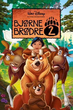 Image Bjørne brødre 2