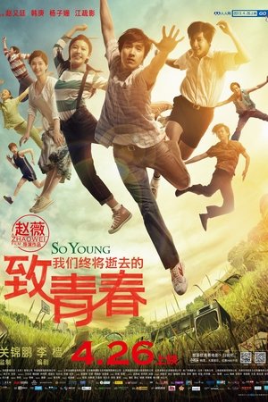 Poster 致我们终将逝去的青春 2013