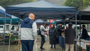 Journeys in Japan: 15×9