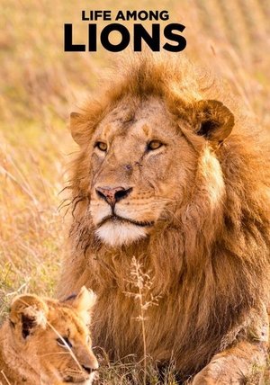 Image Life Among Lions