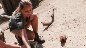 Cute and Cuddly Prairie Dogs