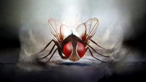 Eega 2012 Telugu Full Movie Download | BluRay 1080p 720p 480p