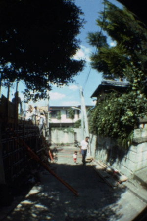 My home / House of Light (2026)