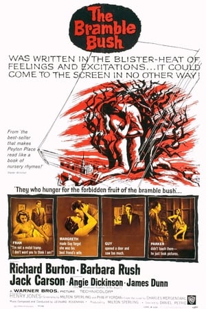 Poster The Bramble Bush (1960)