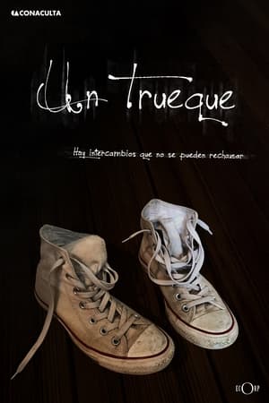 Poster Un trueque 2013