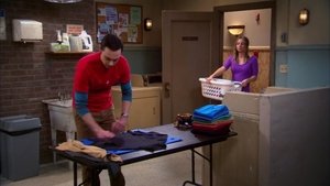 The Big Bang Theory 5×21