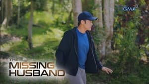 The Missing Husband: Season 1 Full Episode 28
