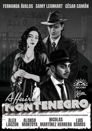 The Montenegro Affair 15