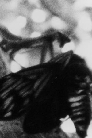 Nonton film A CICADA (1985) terbaru sub indo Nonton film A CICADA (1985) terbaru sub indo