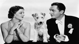 The Thin Man