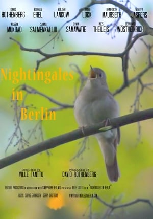 Poster Nightingales in Berlin 2019