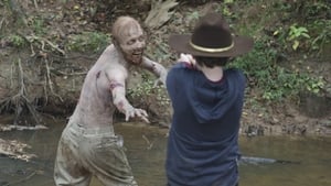 The Walking Dead saison 2 Episode 11