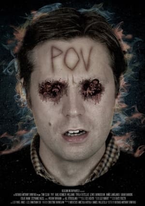 Poster P.O.V (2014)
