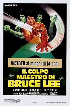 Poster Il colpo maestro di Bruce Lee 1979