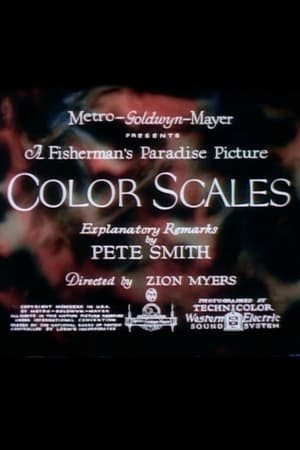 Color Scales poster