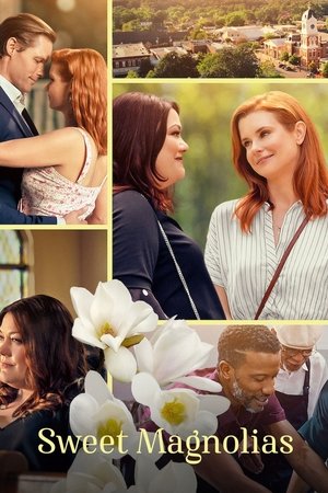 Assistir Doces Magnólias online Assistir Doces Magnólias online