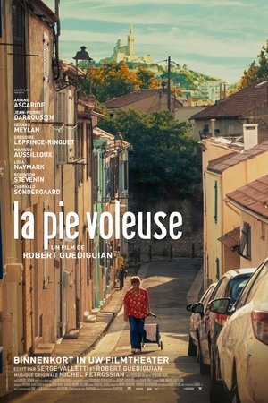 Image La Pie voleuse