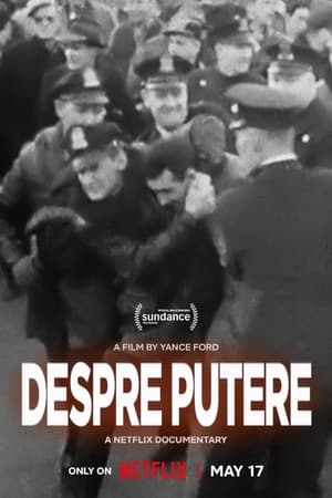 Despre putere 2024