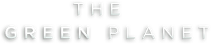 Planeta verde — Logos 5