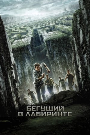 Poster Бегущий в лабиринте 2014