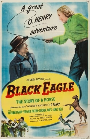 Black Eagle poster