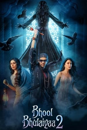 Bhool Bhulaiyaa 2 (2022) is one of the best New Comedy Movies At FilmTagger.com