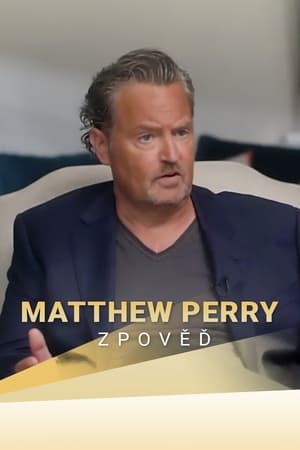 Image Matthew Perry: Zpověď