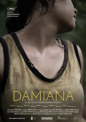 Poster di Damiana