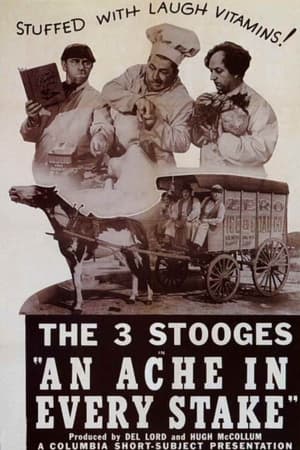 Poster An Ache in Every Stake (1941)